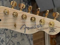 IMG_3948.jpeg