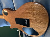 IMG_4825.jpeg