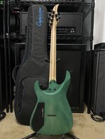 IMG_5682.jpeg