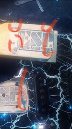 received_257996995804375.jpeg