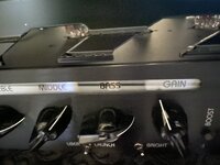 IMG_8536.jpeg
