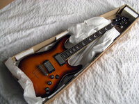 Schecter C-1 Plus.JPG