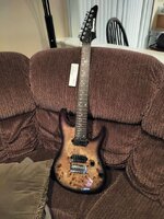 IMG_20231115_185344.jpg
