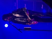 IMG_2241.jpeg