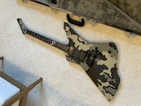 IMG_9475.jpeg