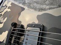 IMG_9478.jpeg