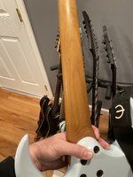 IMG_4263.jpeg