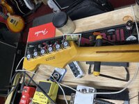 IMG_1323.jpeg