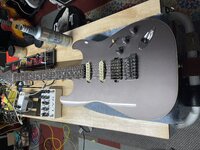 IMG_1321.jpeg