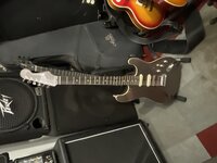 IMG_1320.jpeg