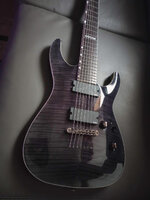 h1007.jpg