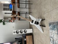 IMG_0073.jpeg