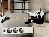 IMG_0072.jpeg