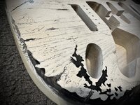 IMG_4052.jpeg