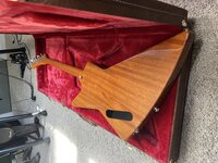 IMG_5268.jpeg