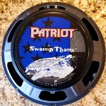 swamp (2).jpg
