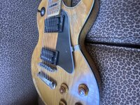 IMG_1381.jpeg