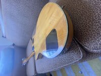 IMG_1382.jpeg