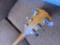 IMG_1383.jpeg