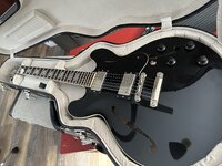 IMG_5962.jpeg