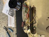 IMG_2479.jpeg
