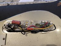 IMG_2477.jpeg