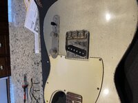 IMG_2481.jpeg