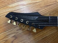 IMG_7831.jpeg