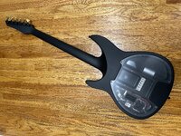 IMG_7833.jpeg
