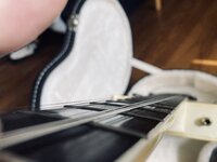 IMG_4200.jpeg