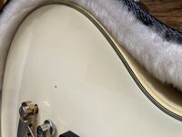 IMG_4199.jpeg