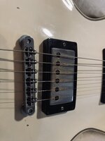 IMG_4185.jpeg