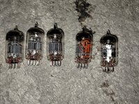 IMG_20240310_085852608.jpg