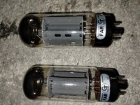 IMG_20240310_085653662.jpg