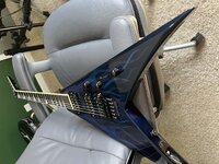 IMG_5503.jpeg