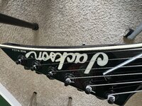 IMG_5507.jpeg