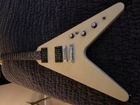IMG_1895.jpeg