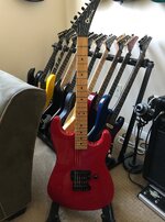 IMG_0897.jpeg