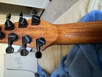 IMG_1168.jpeg