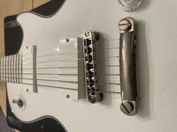 IMG_3100.jpeg