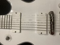 IMG_3101.jpeg