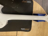 IMG_3106.jpeg