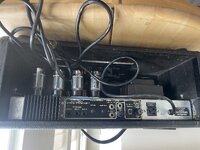 IMG_3117.jpeg