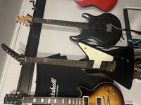 IMG_2814.jpeg