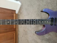 20240406_095917.jpg