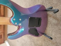 20240406_095957.jpg