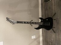 IMG_3161.jpeg