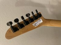 IMG_3163.jpeg