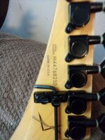 washburn serial#.jpg