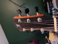 IMG_5692.jpeg